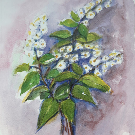 Tuomi